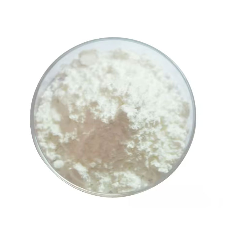 Goma xantana CAS# 11078 - 31 - 2