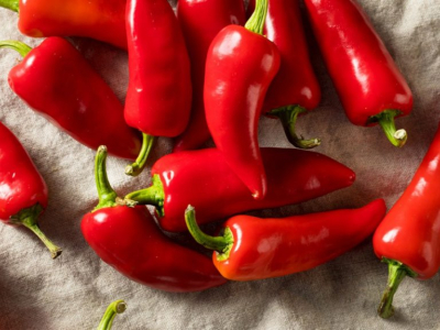 An Introduction to Capsaicin Pepper
